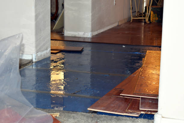 Professional Basement Flood Cleanup technician working in Hamilton, IA
